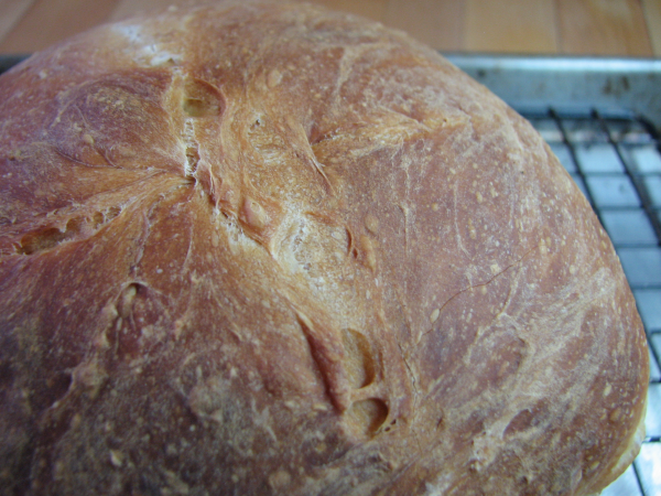 Artisan Bread Baked