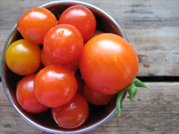 Cherry Tomatoes Bowl