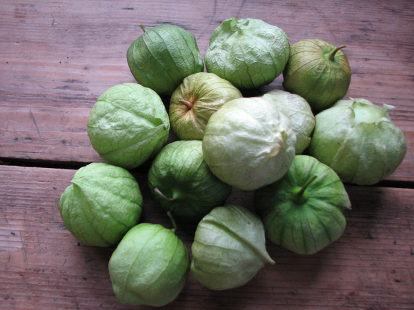 Tomatillos with Paper Husk