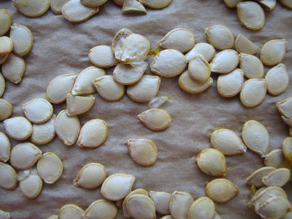 De-Pulped and Dried Delicate Squash Seeds