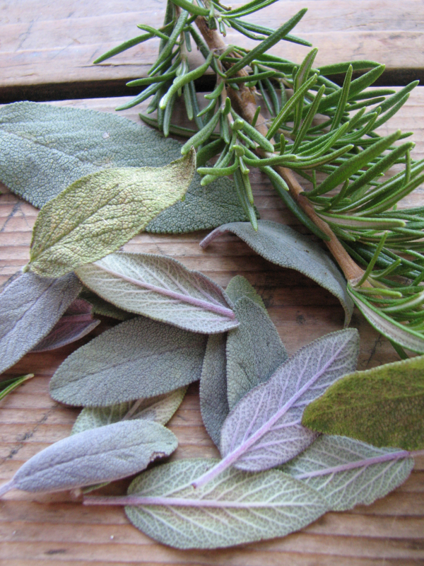 Sage and Rosemary