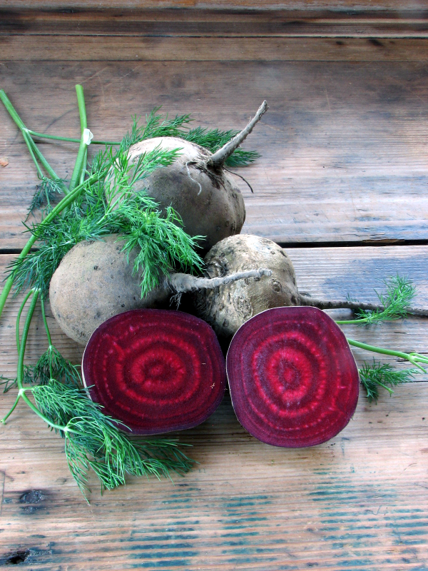 Beets and Fresh Dill 2