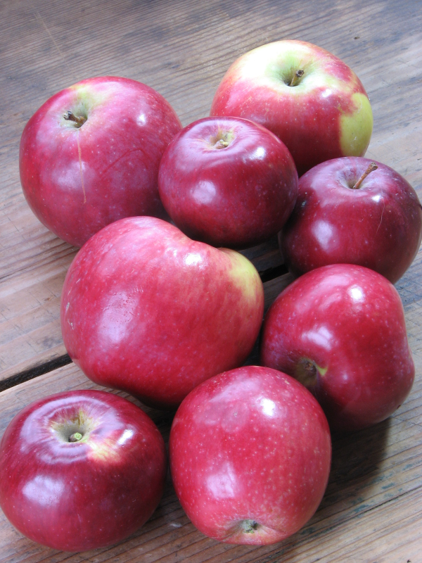 CSA  Red Apples