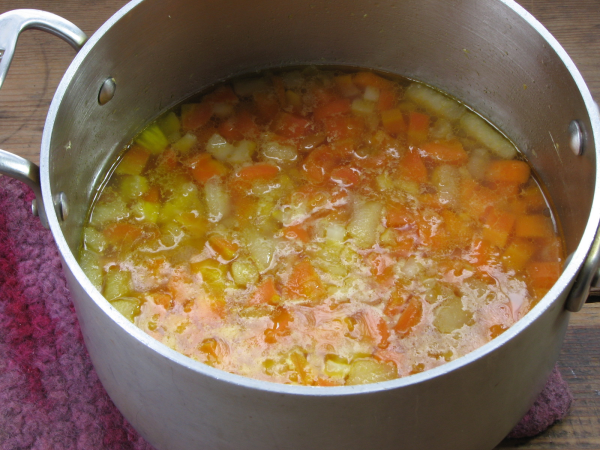 Carrot Ginger Apple soup in pot