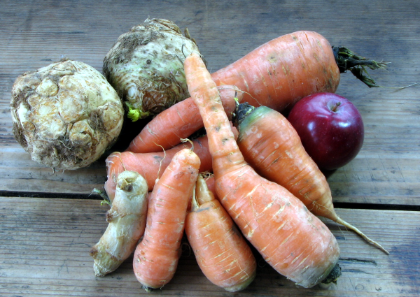 Carrots, ginger, apple, celery root