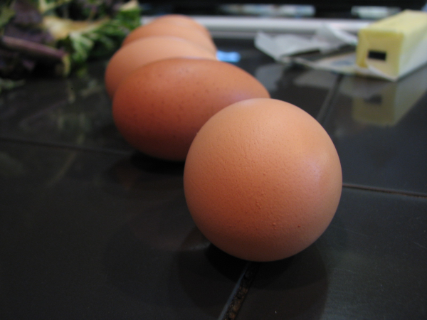 Tamber Chicken Eggs